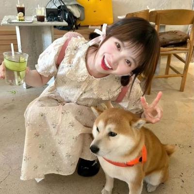陶之恋